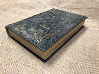 Painted & Embellished Book 202//152